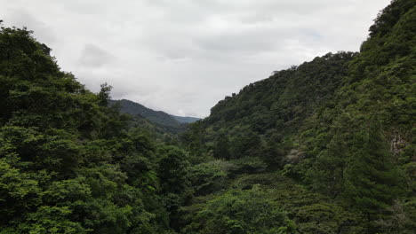 Aerial-view-of-the-neverending-jungle-in-the-mountains-of-Boquete,-Panama