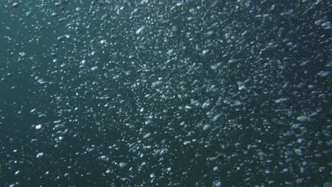 Unterwasser-Zeitlupenaufnahme-Einer-Großen-Gruppe-Von-Blasen,-Die-An-Die-Oberfläche-Steigen
