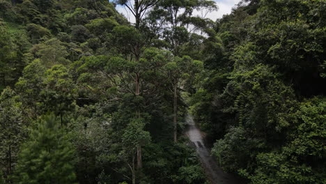 Vista-Aérea-Volando-Entre-Los-árboles-En-La-Selva-De-Boquete,-Panamá