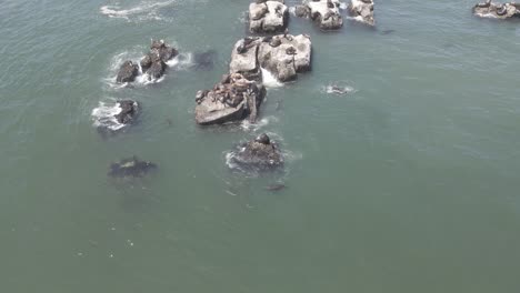 Aerial-circling-motion-of-rocks-in-the-sea-while-waves-crash-on-them-during-the-day
