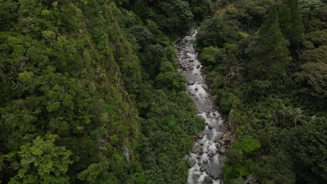 Aerial-high-angle-view-of-the-jungle-following-up-a-river-in-the-mountains-of-Boquete,-Panama