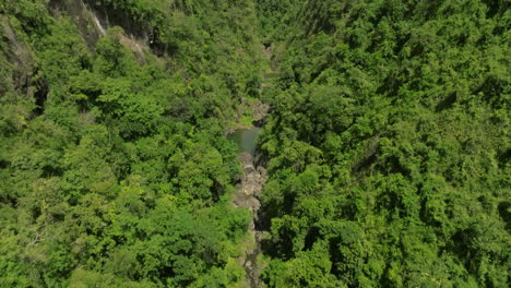Cañón-San-Cristóbal-Berge-Puerto-Rico-Tropischer-Wald-An-Einem-Sonnigen-Tag-5
