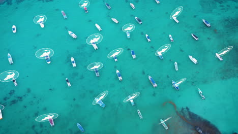 High-angle-view-of-fishing-boats-moored-in-turquoise-water