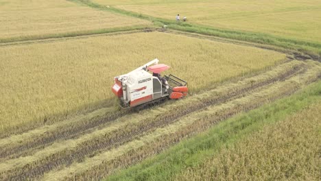 Aerial-Drone-Shot-of-Machine-Harvester-Harvesting-Paddy-Field-in-Sri-Lanka