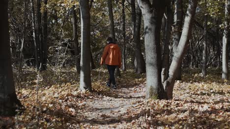 A-man-with-an-orange-jacket-following-the-path-to-the-autumn-forest-with-some-trees-in-the-middle