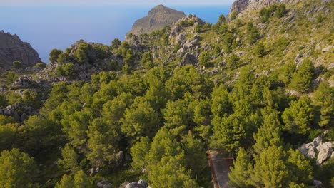 Flying-across-green-trees-in-a-canyon-with-the-Mediterranean-sea-in-the-background-on-a-sunny-day-at-Sa-Calobra,-Mallorca,-Spain