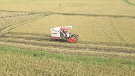Aerial-Drone-Shot-of-Small-Combine-Harvester-Harvesting-Rice