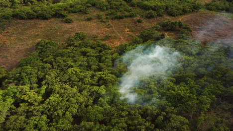 Global-warming-crisis-in-Vietnam,-aerial-view-of-burning-tropical-forest