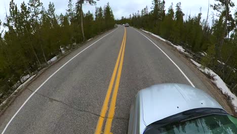 The-front-hood-of-a-van-as-we-are-Driving-on-a-long-Pine-covered-or-wooded-road-possibly-through-Yellowstone-National-Park