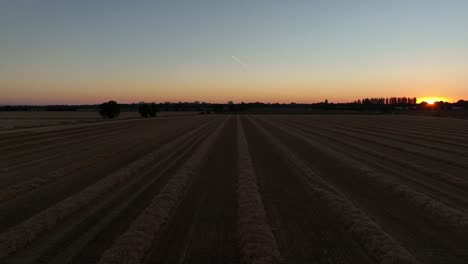 Low-aerial-twilight-over-farm-land-with-neat-rows-of-straw-after-crop-harvest