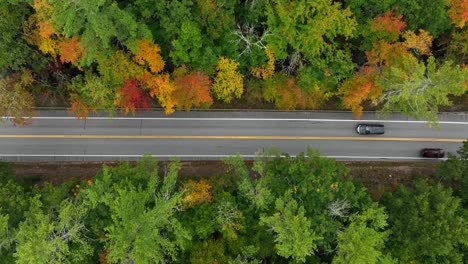 Rising-straight-down-shot-of-cars-traveling-along-paved-road-through-autumn-foliage