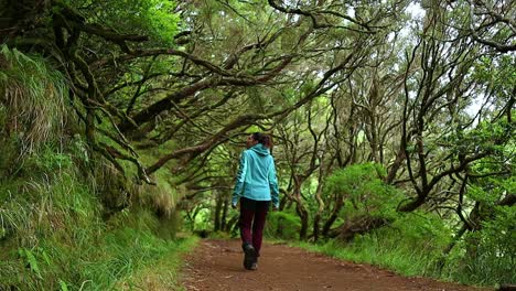 Mujer-Joven-Camina-Asombrada-En-El-Mágico-Bosque-Tropical-De-Madeira