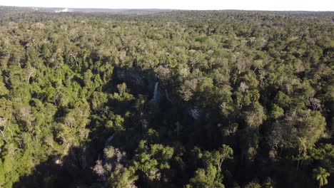 Luftaufnahme-Des-Tiefen-Iguazu-Dschungels-An-Sonnigen-Tagen-Mit-Verstecktem-Wasserfall-In-Südamerika