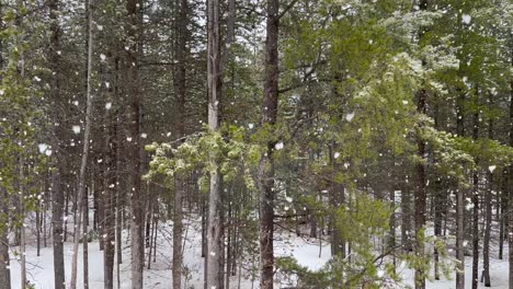 Schneefall-In-Zeitlupe,-Der-Aus-Einem-Kabinenfenster-Im-Wald-Blickt,-Während-Große-Flocken-Anmutig-Zu-Boden-Gehen