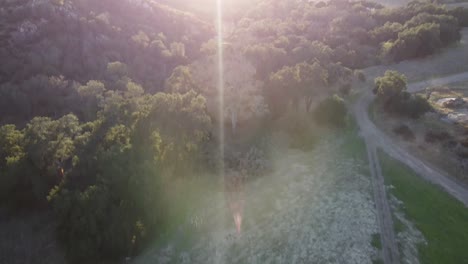 Drone-shot-of-a-peaceful-morning-in-a-mountain-valley-filled-with-trees-featuring-heavenly-sun-flare-over-horizon