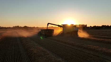 Filmischer-Sonnenuntergang-Luftbogen-Der-Mähdrescherernte,-überträgt-Korn-Zum-Traktor