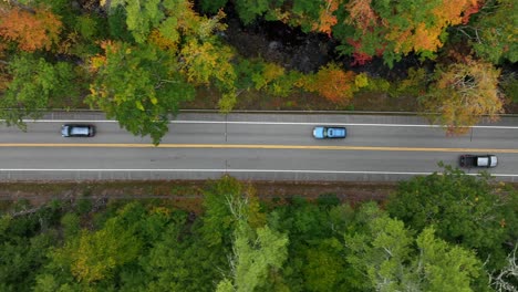 Straight-down-tracking-shot-of-cars-driving-on-paved-road-through-forest-in-fall