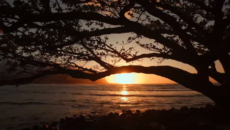 Hanalei-Bay-Kauai-Hawaii-at-sunset-through-the-trees