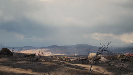 View-of-the-land-devastated-by-fire,-remains-of-burned-trees-and-soot-on-the-ground,-time-lapse