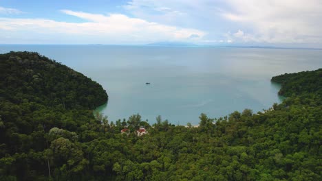 Aerial-drone-forward-moving-shot-of-green-forest-over-mountain-range-in-Penang-National-Park-in-Penang,-Penang,-Malaysia-at-daytime