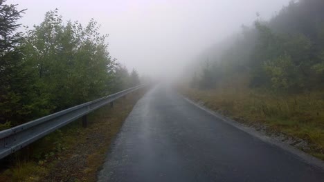 Jungle-Road-Morgens-Bei-Nebligem-Wetter