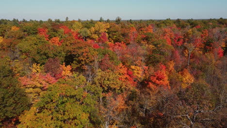 Scenic-fall-colors-in-treetops---aerial-view-of-yellow,-orange-and-red-foliage