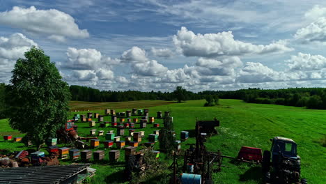 Colored-hives-in-bee-farm-with-rural-landscape-in-background
