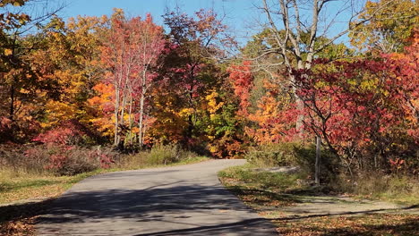 Langsame-Und-Stetige-Kamerafahrt-Von-Rechts-Nach-Links-über-Einen-Waldweg,-Der-Durch-Die-Wunderschöne-Landschaft-Der-Herbstbäume-Des-Kanadischen-Nationalparks,-Ontario,-Geschnitzt-Ist