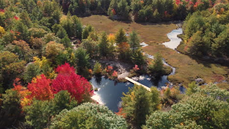 Aerial-view-of-autumn-colors-forest-and-calm-lake-with-a-bridge-connecting-two-islands