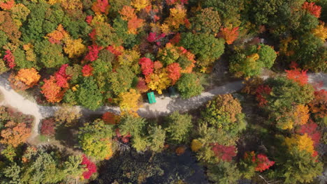 Top-down-cinematic-drone-shot-flying-above-forest-check-post-alongside-forest-path-carved-through-colorful-trees-of-autumn,-Algonquin-Provincial-Park