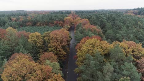 Drone-shot-of-a-road-through-the-middle-of-an-autumn-forest