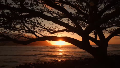 Hanalei-Bay-Kauai-Hawaii-Bei-Sonnenuntergang-Durch-Die-Bäume