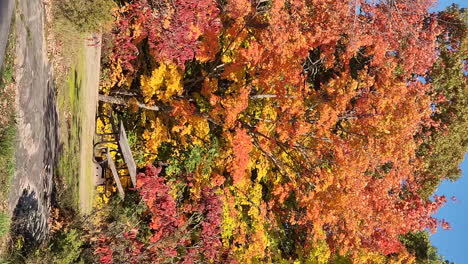 Vertikal-|-Herbst-Leuchtend-Leuchtend-Orange-Und-Gelbe-Naturfarben-Umgeben-Eine-Picknickbank