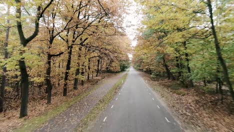 Drohne-Geschossen-über-Der-Straße-Durch-Die-Bäume-In-Der-Herbstsaison