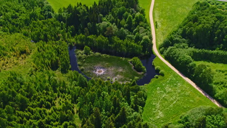 Kleiner-Teich-In-Grüner-Landschaft