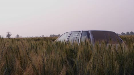 View-Of-Car-Hiding-In-Wheat-Rural-Wheat-Field