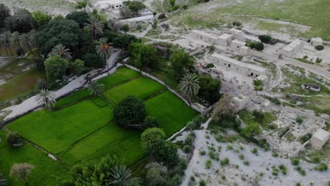 Aerial-View-Of-Village-Located-In-Khuzdar-With-Lush-Green-Trees-And-Gardens-Surrounded-By-Desert-Landscape