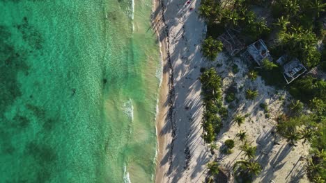 Aerial-view-over-waves-at-a-exotic-beach-in-Playa-del-Carmen,-Mexico---top-down,-drone-shot