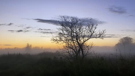 Puesta-De-Sol-Atmosférica-En-Un-Prado-Cubierto-De-Niebla