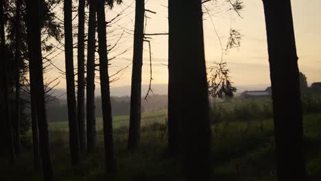 Morgensonne-Scheint-Durch-Den-Wald-Mit-Feldern-Im-Hintergrund