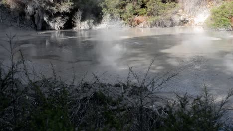 Small-bubbles-and-steam-rising-from-the-Waiotapu-hot-mud-pools-during-golden-hour