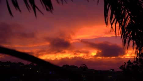 Beautiful-stormy-fire-sunset-with-palm-trees