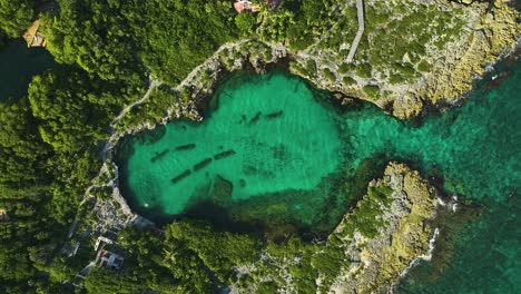 Luftaufnahme-über-Der-Casa-Cenote-Im-Sonnigen-Xpu-ha,-Mexiko---Cenital,-Drohnenaufnahme