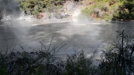Große-Blasen,-Die-Aus-Der-Tiefe-Unter-Heißen-Schlammbecken-Im-Neuseeländischen-Wald-Bei-Sonnenschein-Aufsteigen