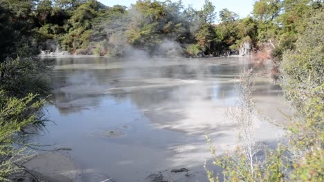 Hot-bubbling-mud-pools-on-New-Zealand's-volcanic-active-north-Island