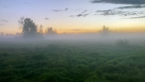Allein-Durch-Eine-Nebelbedeckte-Wiese-Bei-Sonnenuntergang-Gehen