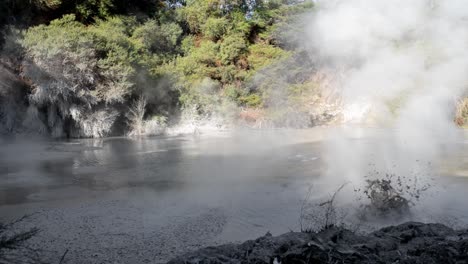 Static-shot-of-large-bubbles-rising-within-the-mud-pools-with-steam-dissipating-at-Waiotapu,-Rotorua,-New-Zealand