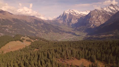 aerial-drone-footage-pushing-out-over-spruce-trees-with-dreamy-views-of-Mount-Wetterhorn-in-distance