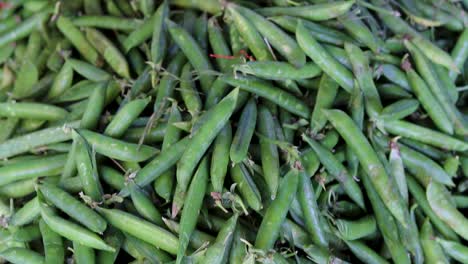 fresh-organic-peas-from-farm-close-up-from-different-angle