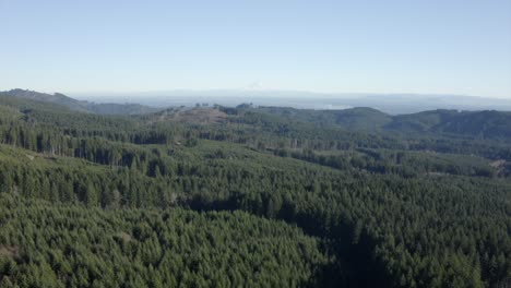 Drone-flying-over-forest-looking-at-mountain---state-forest---Mt-Rainier